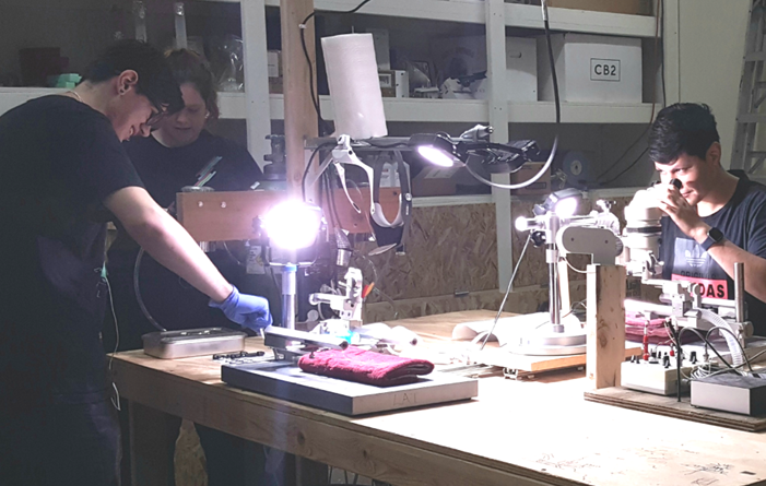 People working on microscopes in a laboratory