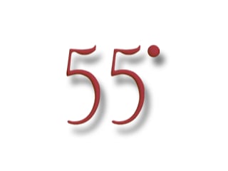 55 logo 1